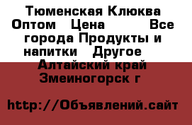 Тюменская Клюква Оптом › Цена ­ 200 - Все города Продукты и напитки » Другое   . Алтайский край,Змеиногорск г.